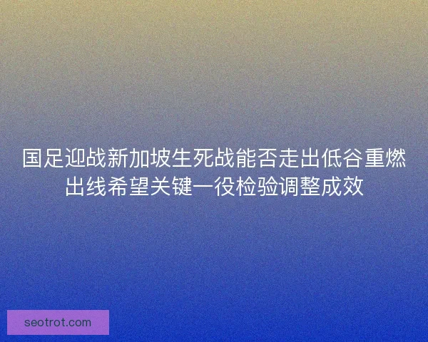 国足迎战新加坡生死战能否走出低谷重燃出线希望关键一役检验调整成效 国足迎战新加坡生死战能否走出低谷重燃出线希望关键一役检验调整成效