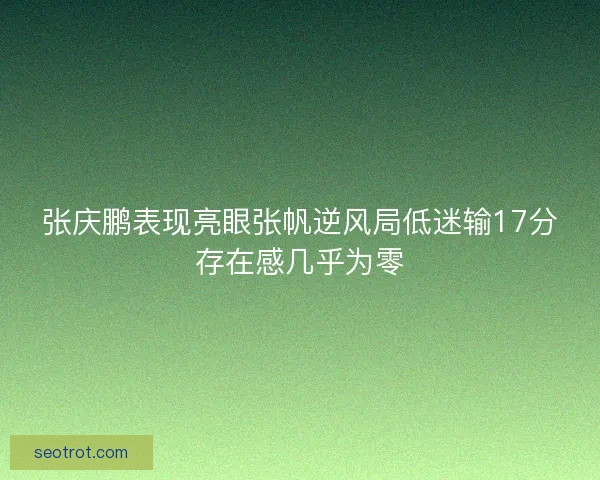张庆鹏表现亮眼张帆逆风局低迷输17分存在感几乎为零